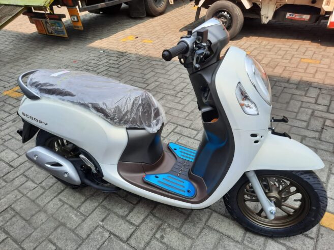 Scoopy Prestige Acc