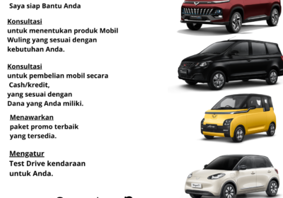 Hallo-Saya-Mahrudin-Sales-Consultant-Dealer-Wuling-Karawaci_20240825_180805_0000