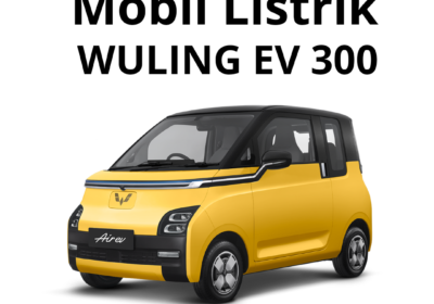 WULING-EV-300_20240827_143923_0000