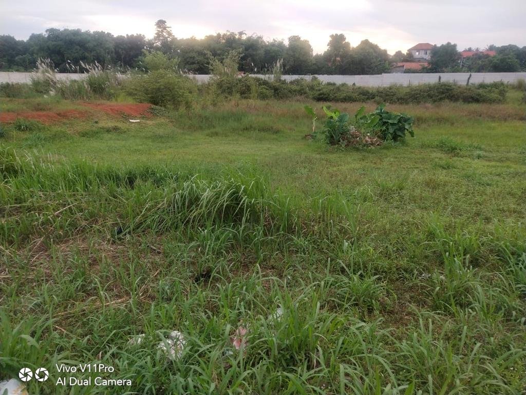 Dijual tanah padang rumput di bawah harga NJOP Parung Bogor
