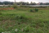 Dijual tanah padang rumput di bawah harga NJOP Parung Bogor