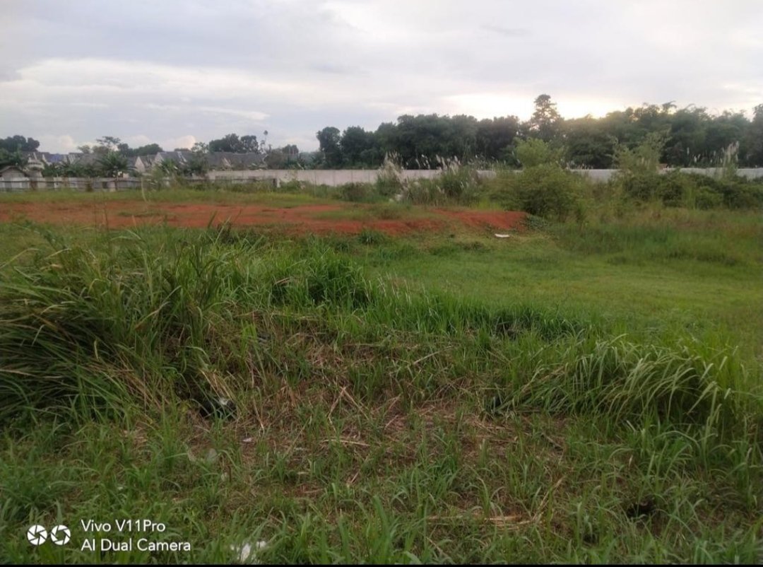 Dijual tanah padang rumput di bawah harga NJOP Parung Bogor