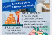 Lowongan Kerja Packing sortir