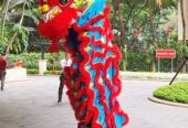 Liong Barongsai Koh Oklay