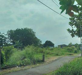 Dijual Tanah di Kp. Buntar Bogor Selatan