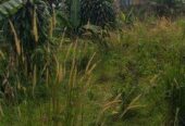 Dijual Tanah di Kp. Buntar Bogor Selatan