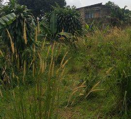 Dijual Tanah di Kp. Buntar Bogor Selatan