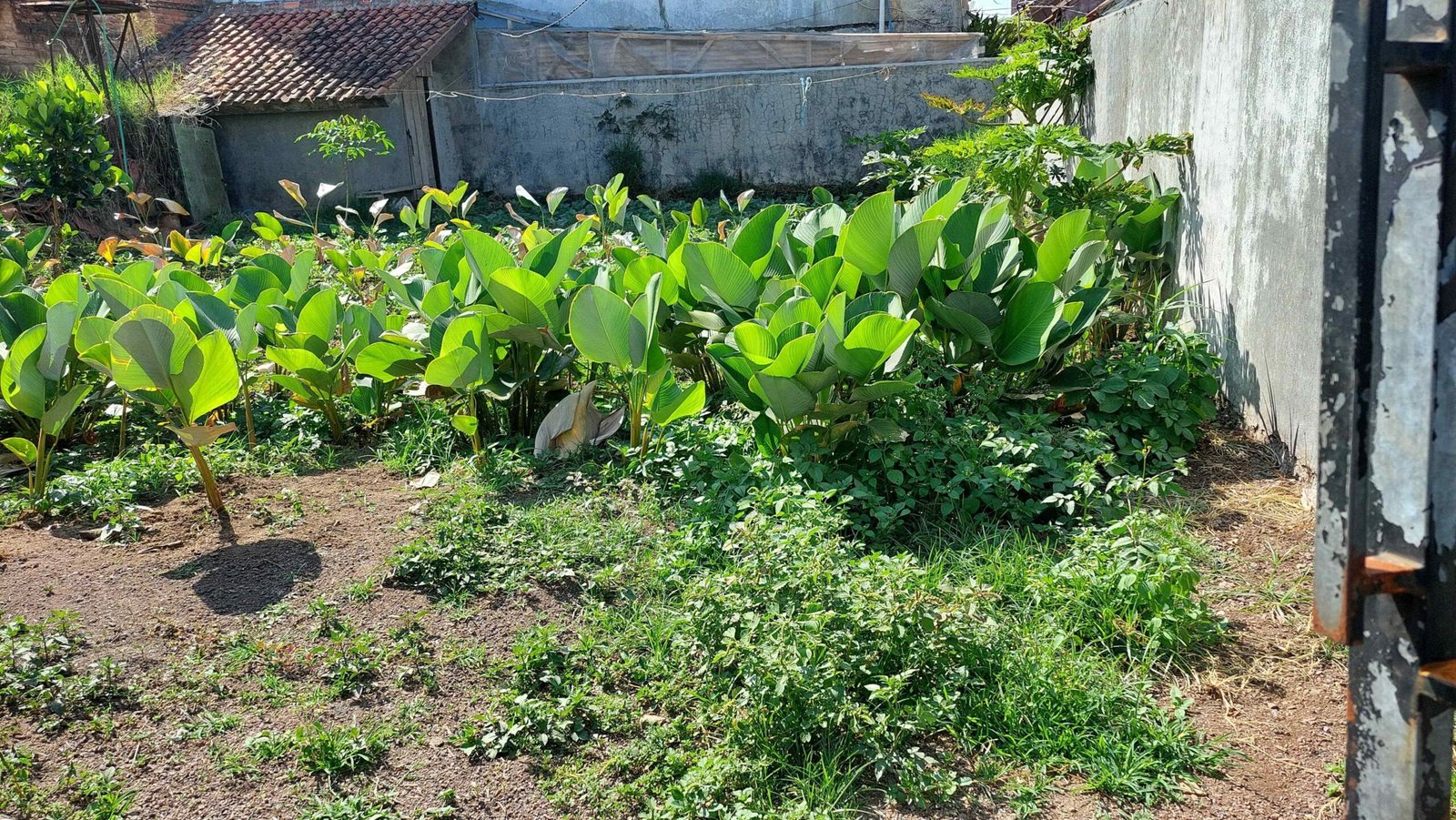 Jual Cepat Sebidang Tanah Jl. Kol. Masturi 112 Lembang, KBB