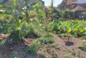 Jual Cepat Sebidang Tanah Jl. Kol. Masturi 112 Lembang, KBB