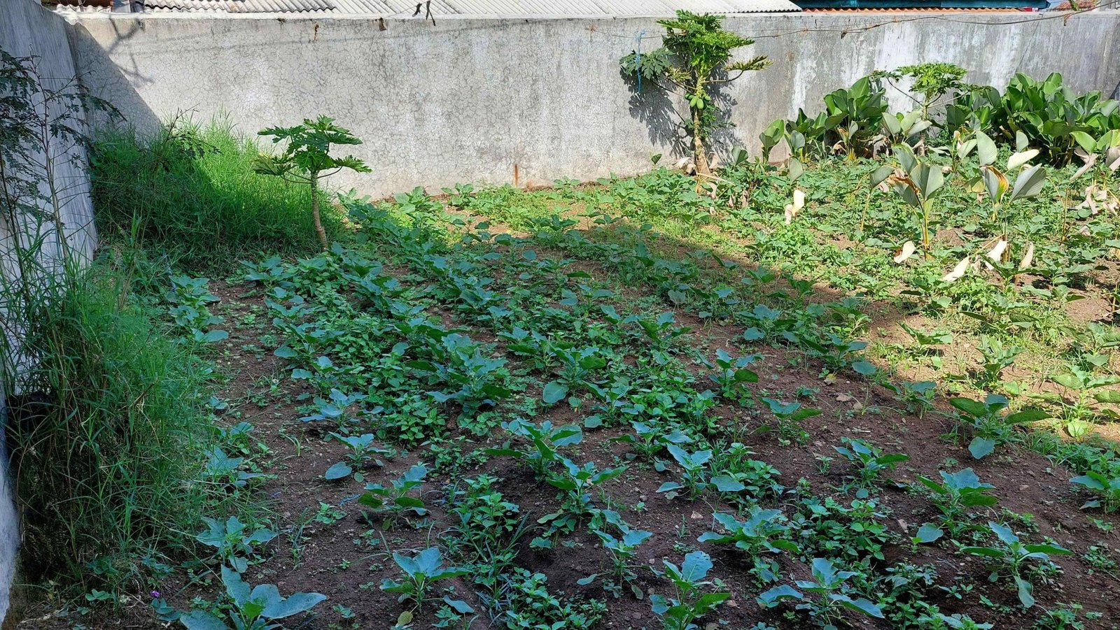 Jual Cepat Sebidang Tanah Jl. Kol. Masturi 112 Lembang, KBB