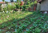 Jual Cepat Sebidang Tanah Jl. Kol. Masturi 112 Lembang, KBB