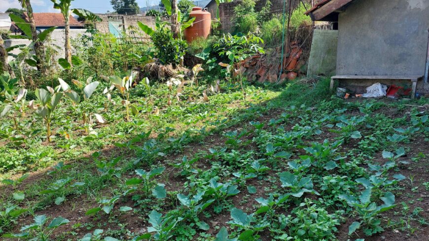 Jual Cepat Sebidang Tanah Jl. Kol. Masturi 112 Lembang, KBB