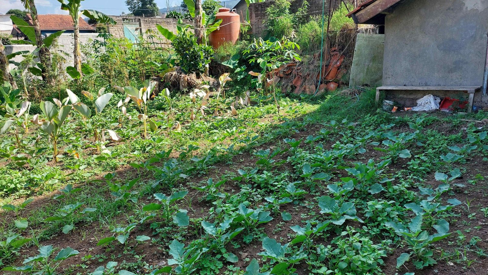 Jual Cepat Sebidang Tanah Jl. Kol. Masturi 112 Lembang, KBB