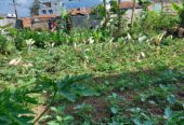 Jual Cepat Sebidang Tanah Jl. Kol. Masturi 112 Lembang, KBB
