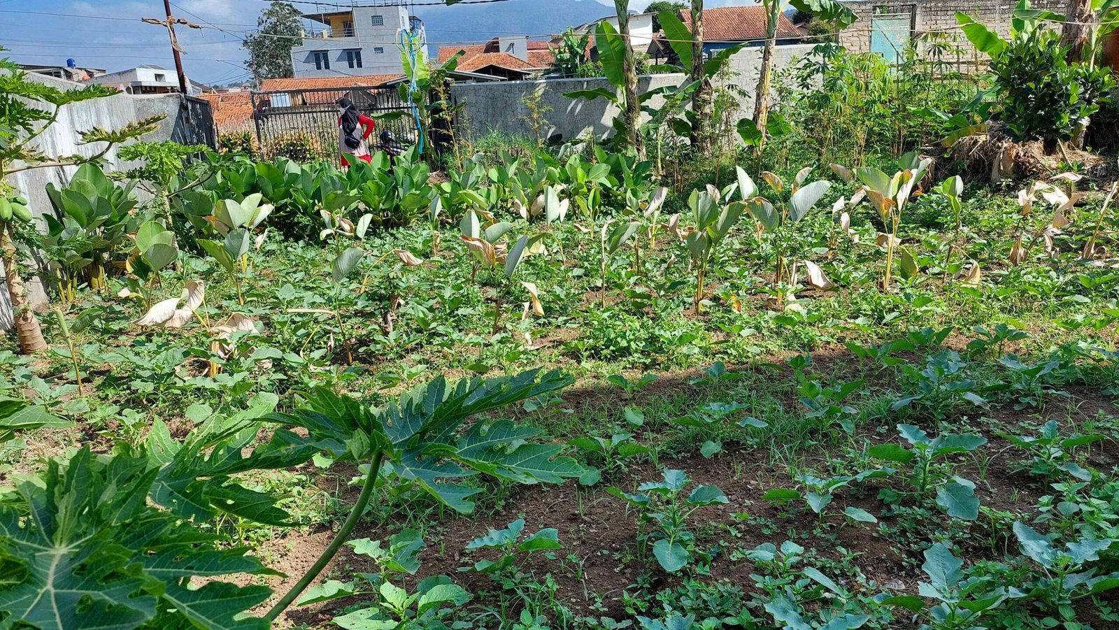 Jual Cepat Sebidang Tanah Jl. Kol. Masturi 112 Lembang, KBB