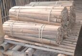 Reng Bambu Berbagai Ukuran