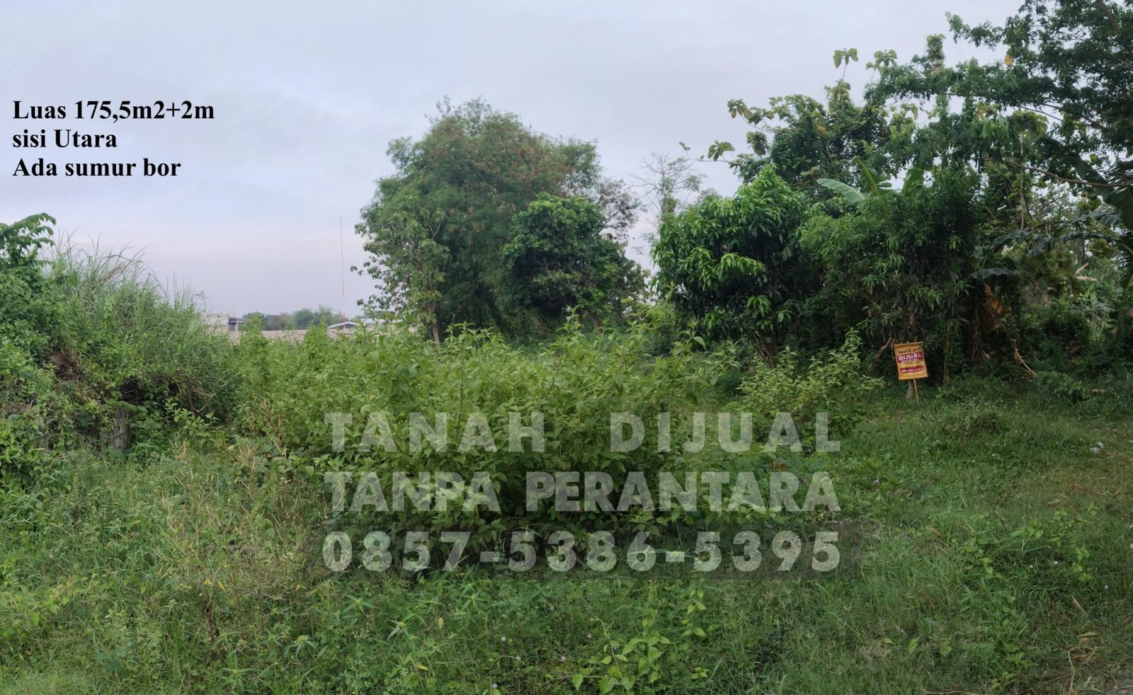 Jual Tanah Jombang Tanpa Perantara