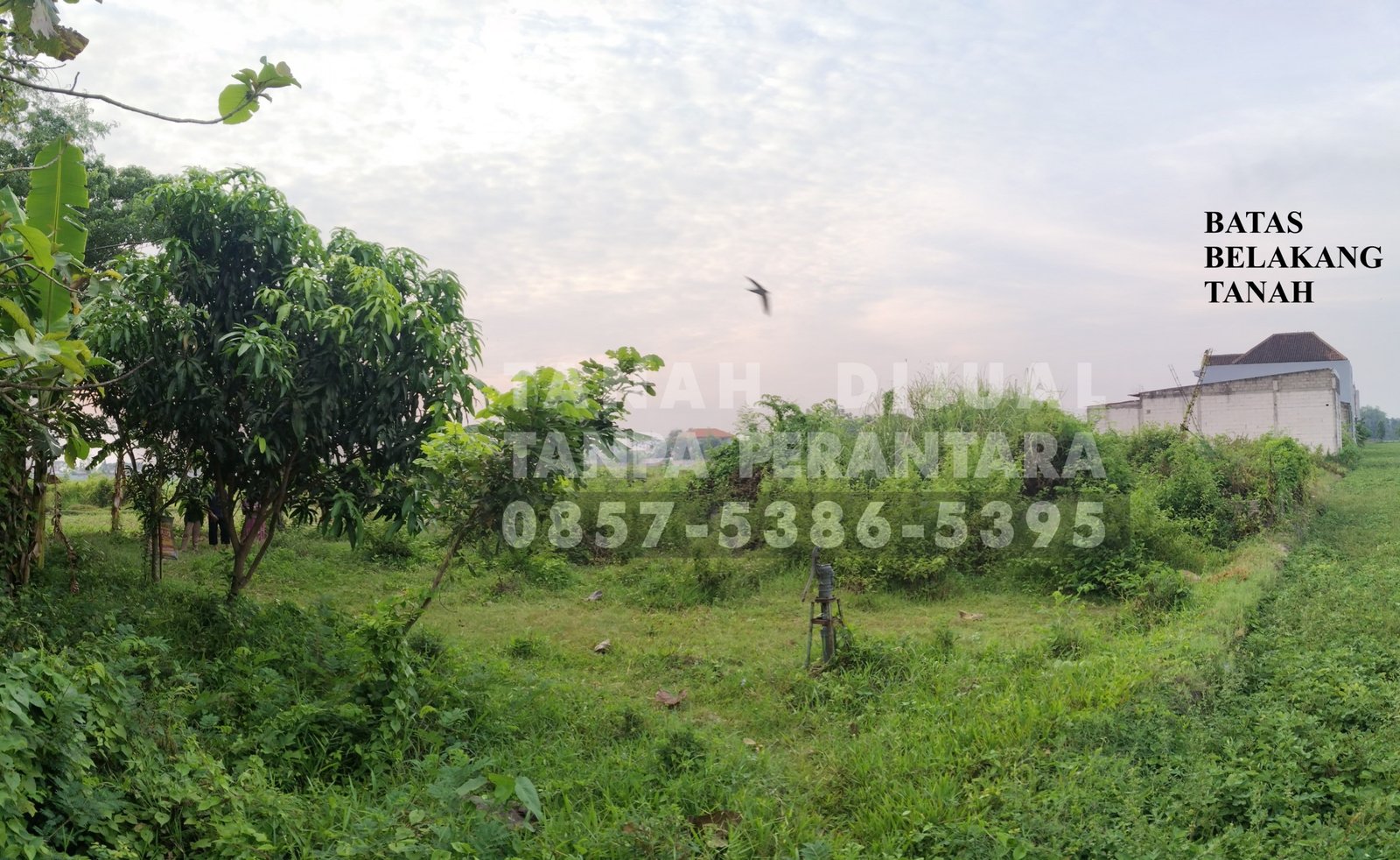 Jual Tanah Jombang Tanpa Perantara