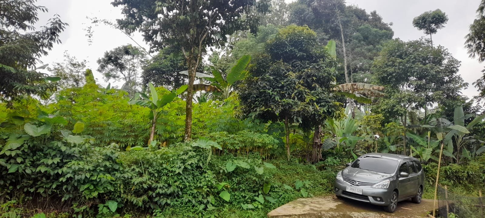 Jual Tanah Murah Dibawah Harga Pasaran BU