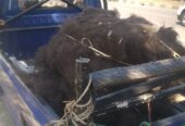 Sedia Ijuk Aren Hitam per Kg