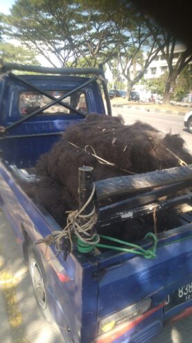 Sedia Ijuk Aren Hitam per Kg