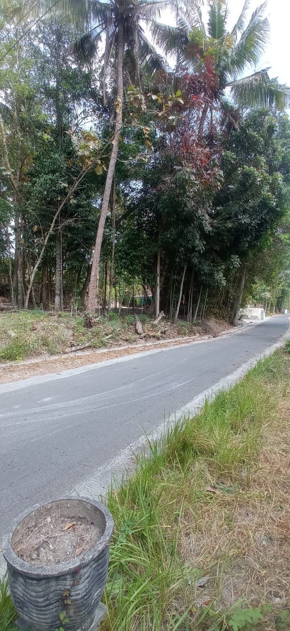 Tanah Prospektif dekat Jalan Raya Wates km 14 Yogyakarta