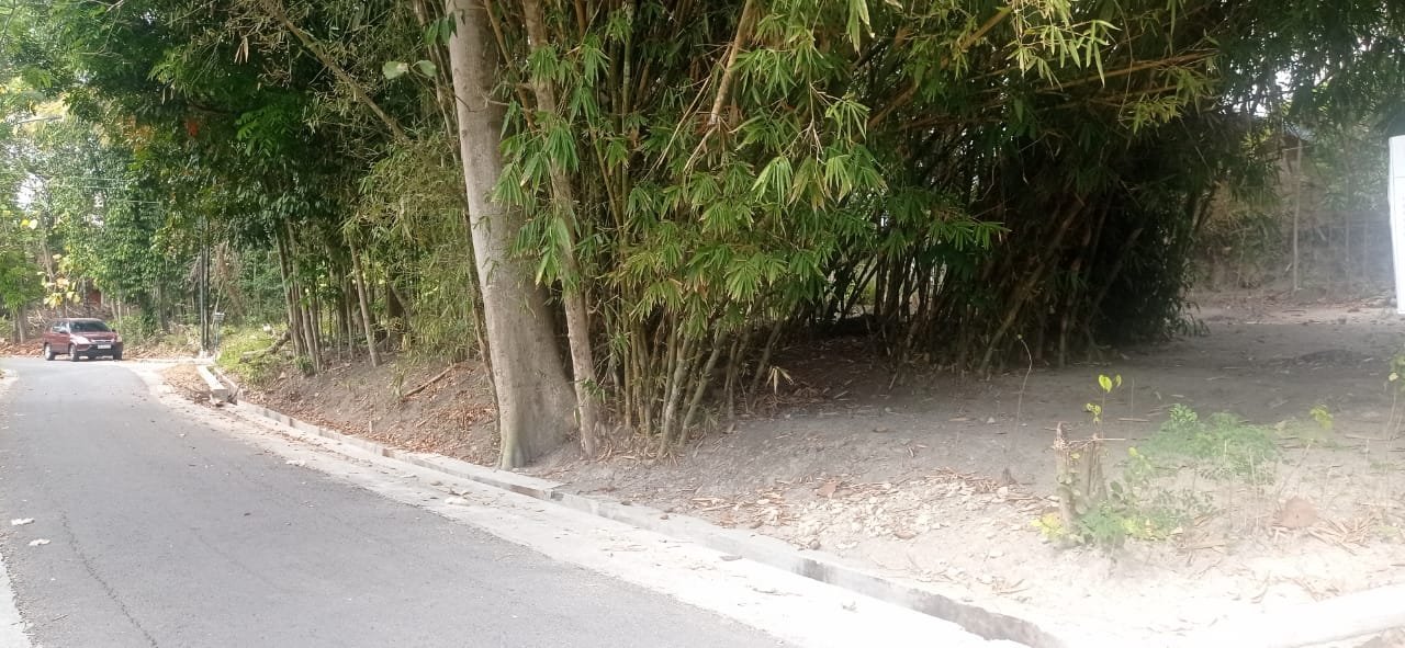 Tanah Prospektif dekat Jalan Raya Wates km 14 Yogyakarta