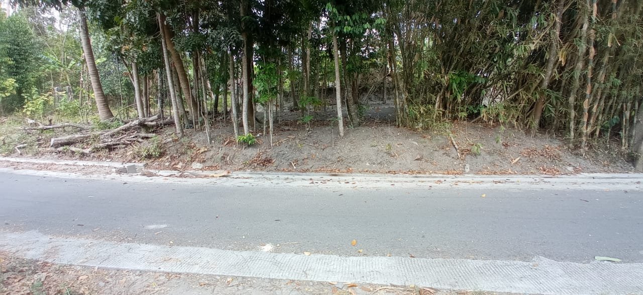 Tanah Prospektif dekat Jalan Raya Wates km 14 Yogyakarta