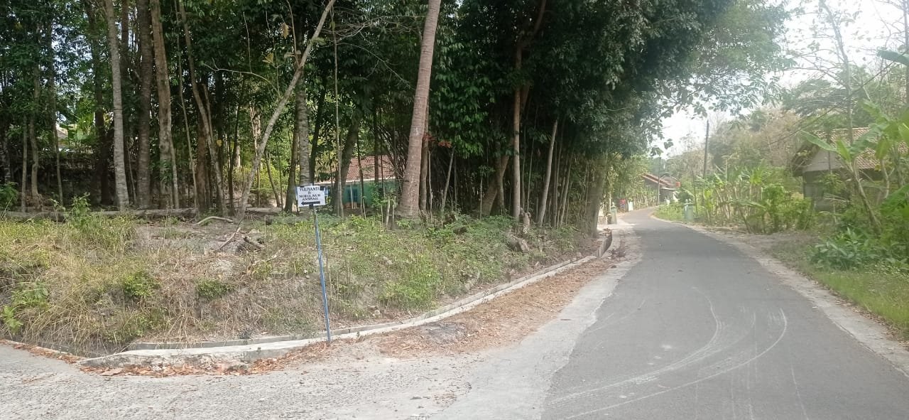 Tanah Prospektif dekat Jalan Raya Wates km 14 Yogyakarta