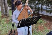Musik Guzheng Erhu Citra Studio