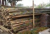 Bambu Steger Tiang Cor
