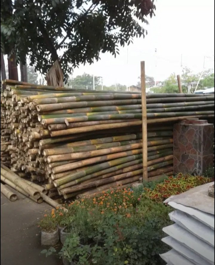 Bambu Steger Tiang Cor
