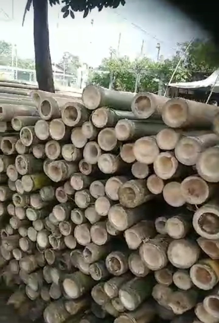 Bambu Steger Tiang Cor