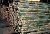 Bambu Steger Tiang Cor
