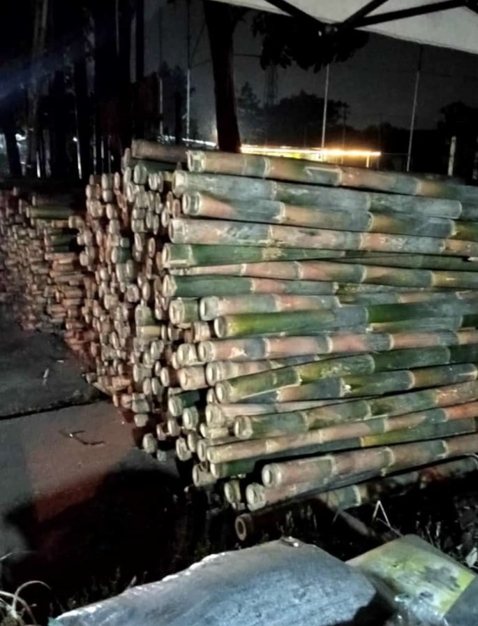 Bambu Steger Tiang Cor