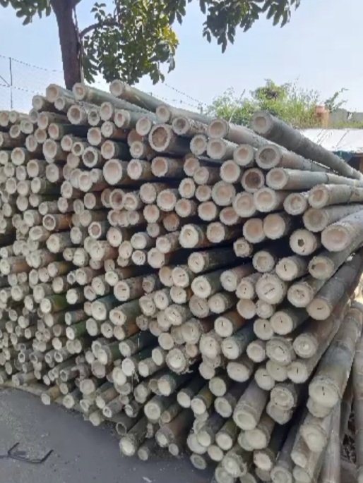 Bambu Steger Tiang Cor