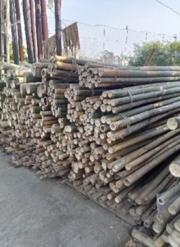 Bambu Steger Tiang Cor
