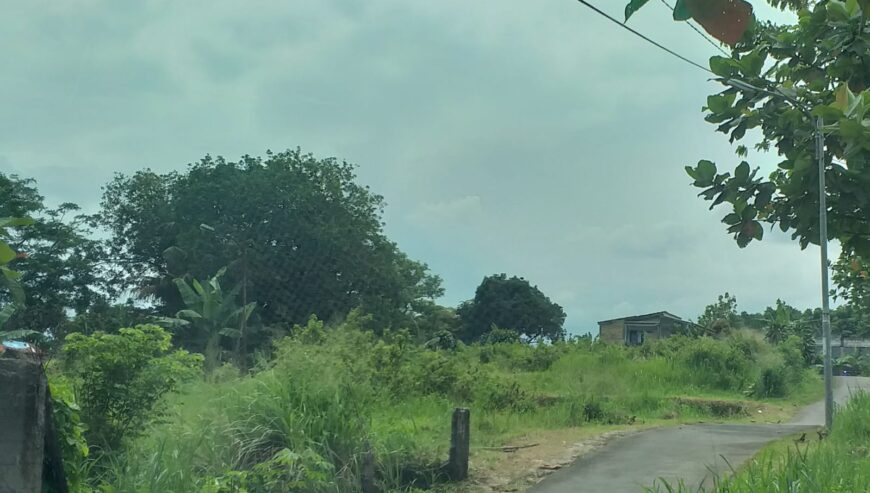 Dijual Tanah di Kp. Buntar Bogor Selatan