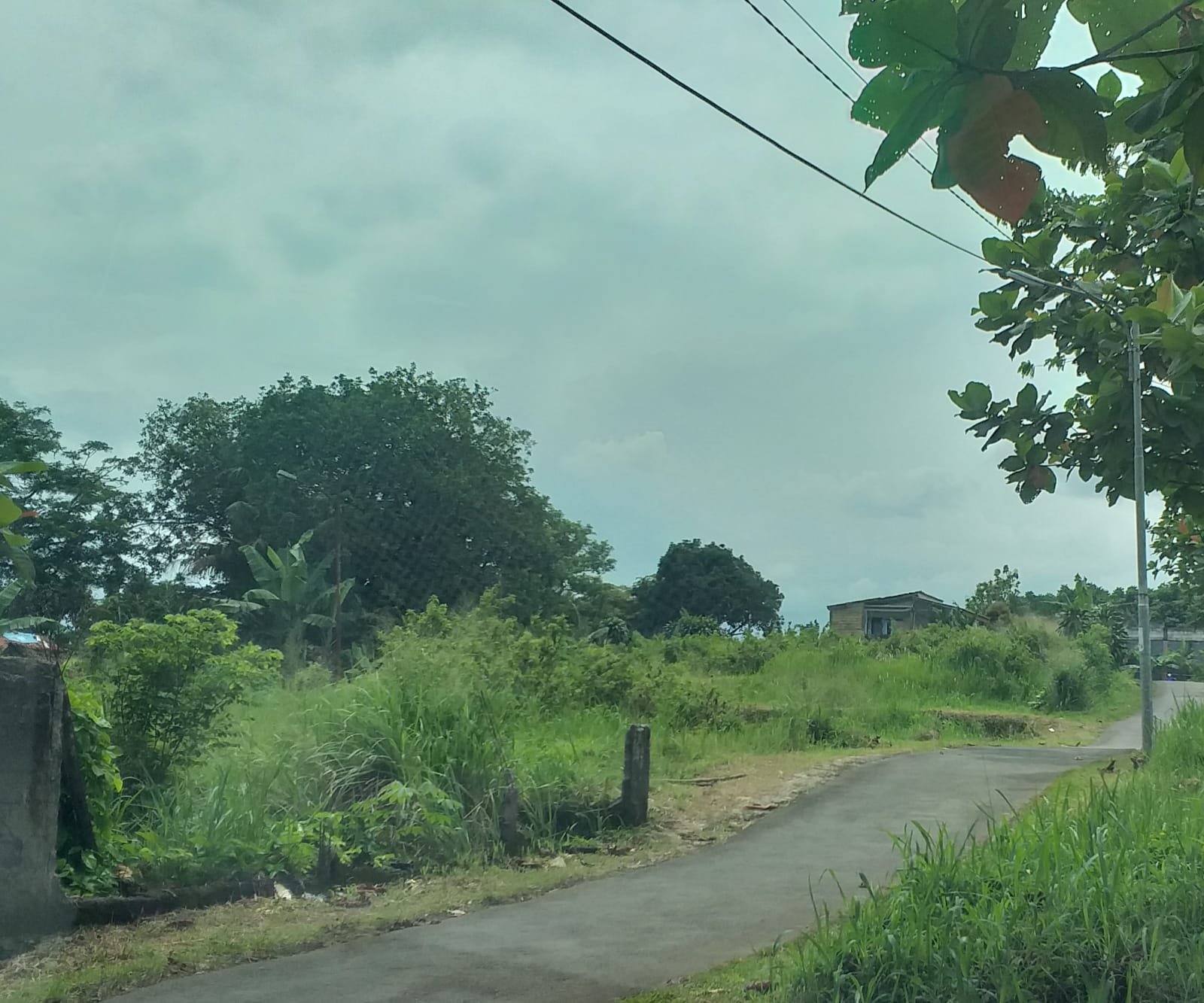 Dijual Tanah di Kp. Buntar Bogor Selatan