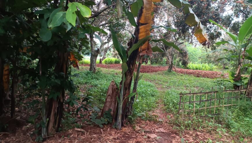 Tanah Kavling Kertarahayu Village