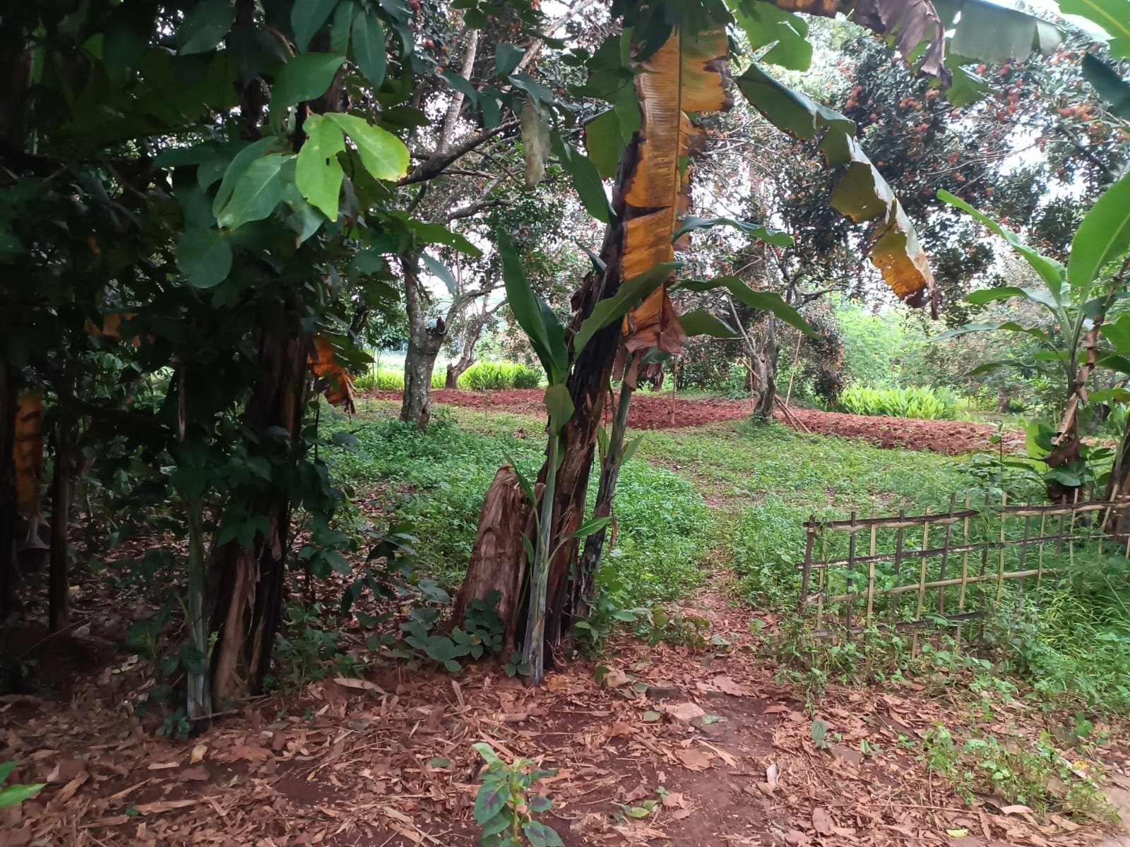 Tanah Kavling Kertarahayu Village