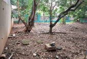 JUAL TANAH DI LIMUS PRATAMA REGENCY CILEUNGSI