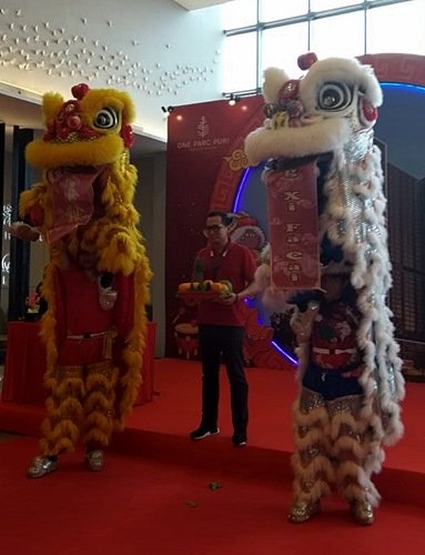 Barongsai Liong Kam Hok Nio