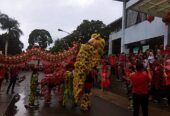 Sewa Barongsai Ci Aguan