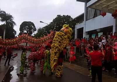 Barongsai-300