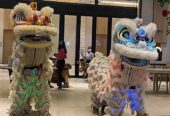 Sanggar Barongsai Ci Apoy