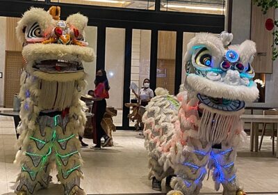 Barongsai-446