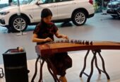 Musik Guzheng Erhu Ci Santi