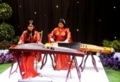 Musik Guzheng Erhu Mandarin Studio