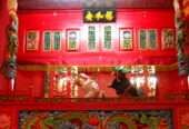 Wayang Potehi Chung Hua An
